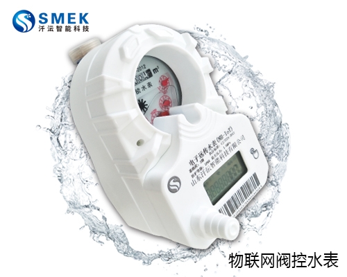 智能遠(yuǎn)傳水表